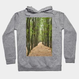 Planted acacia in Hoodie